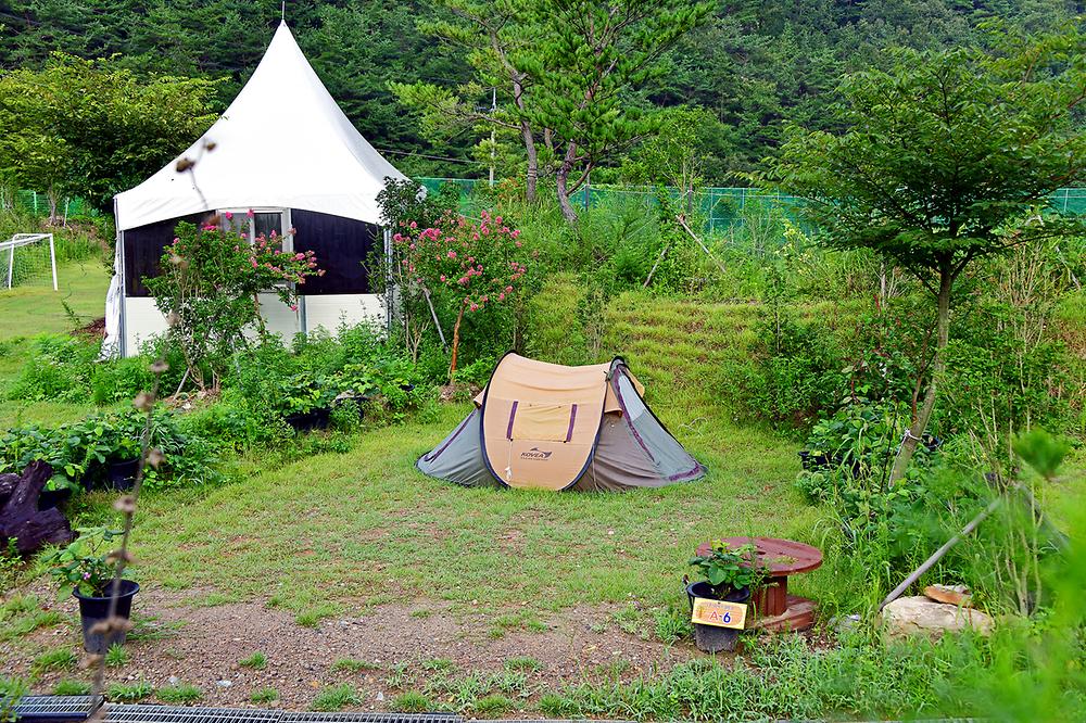 전남 워렉스캠핑랜드 (워렉스야영장) 소개