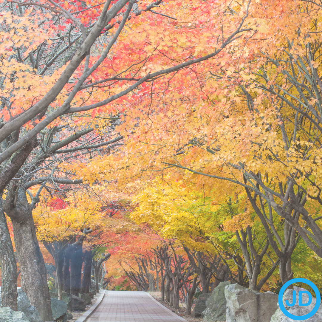 가을 나라별 인사말 모음 🍁│일본·영국·프랑스·스페인·태국 인사 표현 총정리│계절별 따뜻한 외국어 안부 인사·문화별 예절 가이드