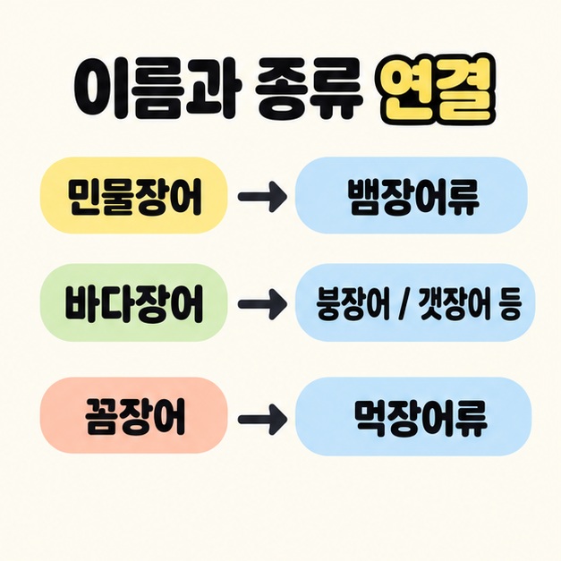 민물장어를 뱀장어류에, 바다장어를 붕장어와 갯장어 등에, 꼼장어를 먹장어류에 연결한 세 줄 대응 도식