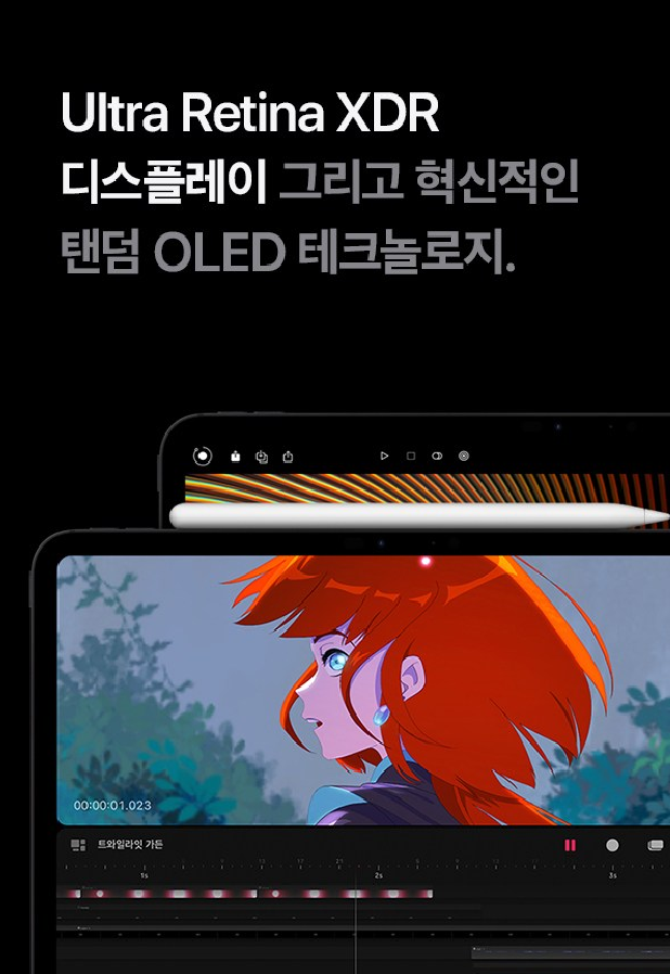 아이패드 프로