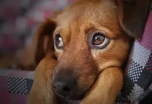 50대자격증추천