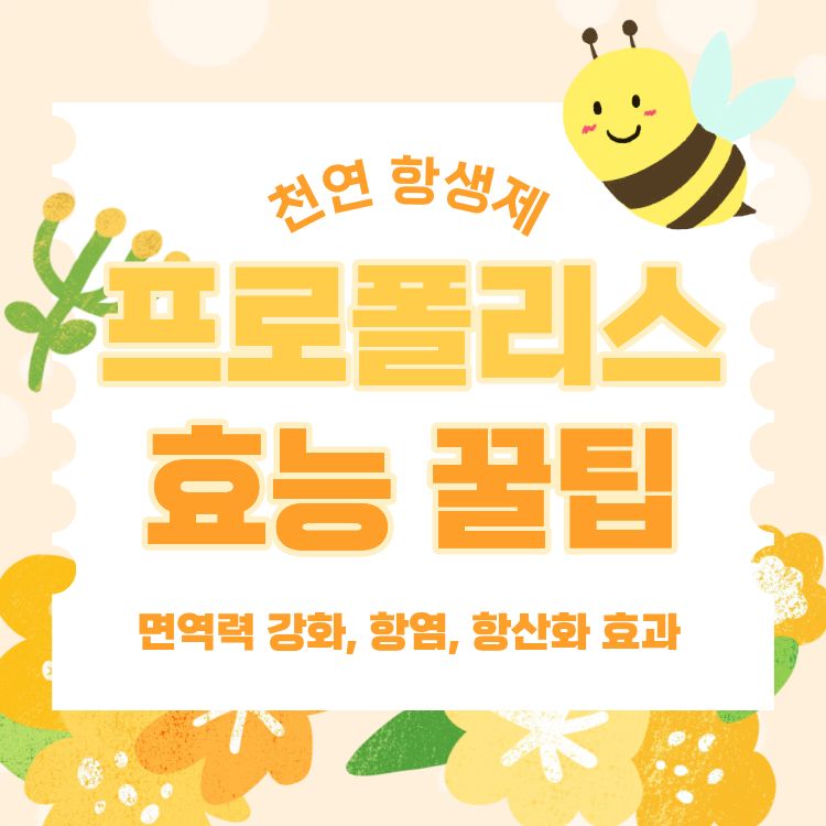 프로폴리스 효능