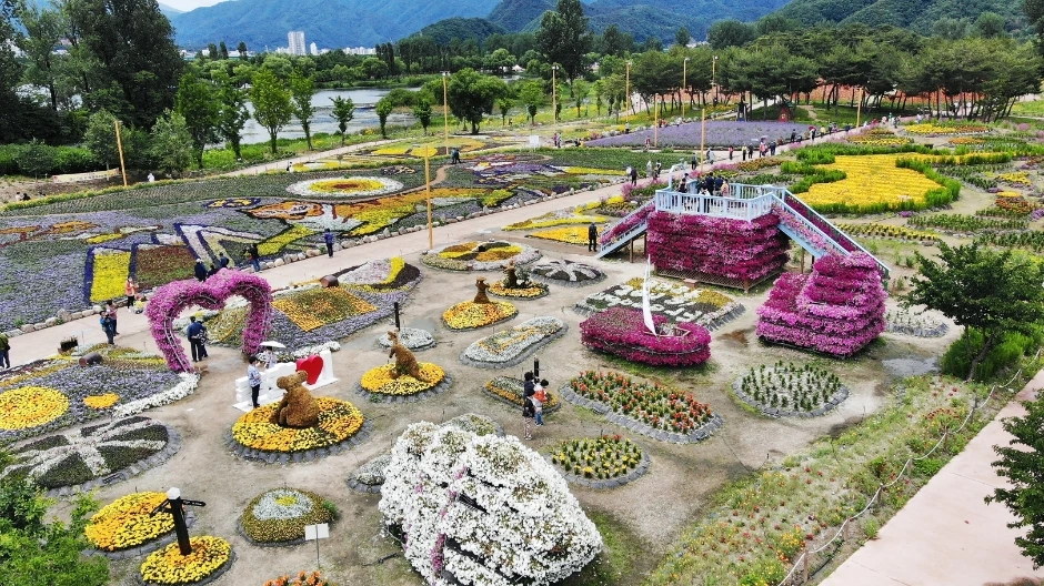 자라섬 꽃 페스타