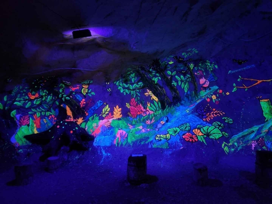 충주 가볼만한곳 베스트10