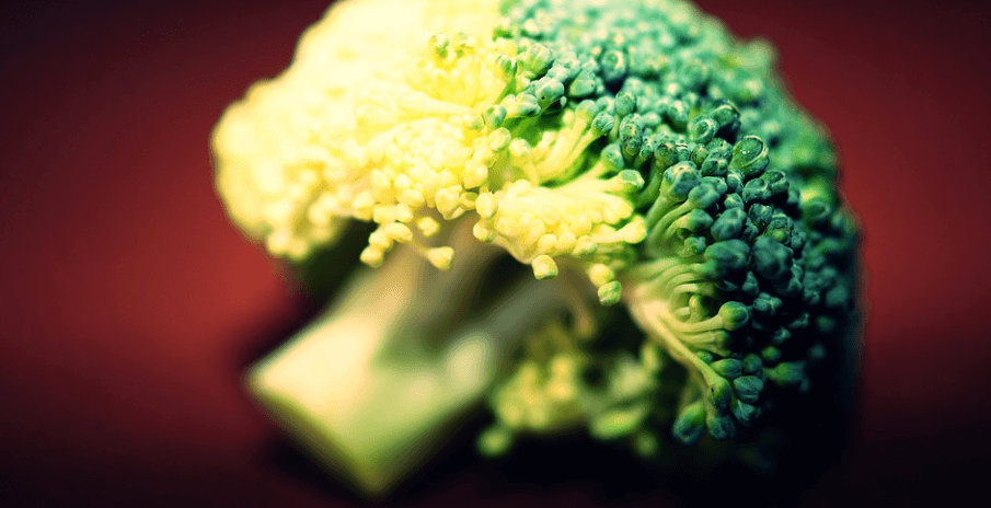 브로콜리 한 송이가 놓여 있다