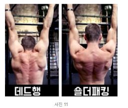 데드행 숄더 패킹