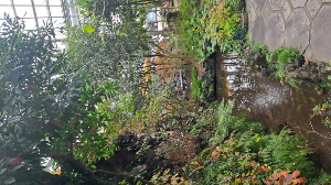 화성_우리꽃식물원_국화전시회