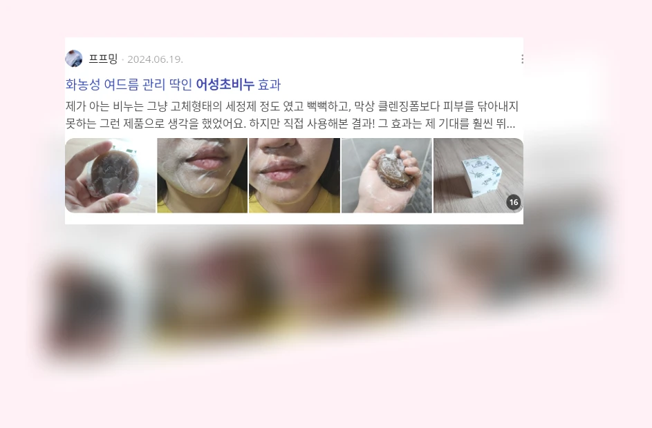 어성초 비누_2_subsection