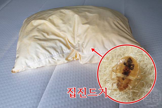 베개 수명 사용기간