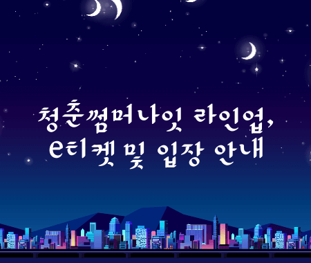 청춘썸머나잇 라인업, e티켓 및 입장 안내
