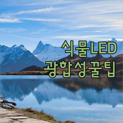 식물 LED 조명 5종 추천 및 광합..