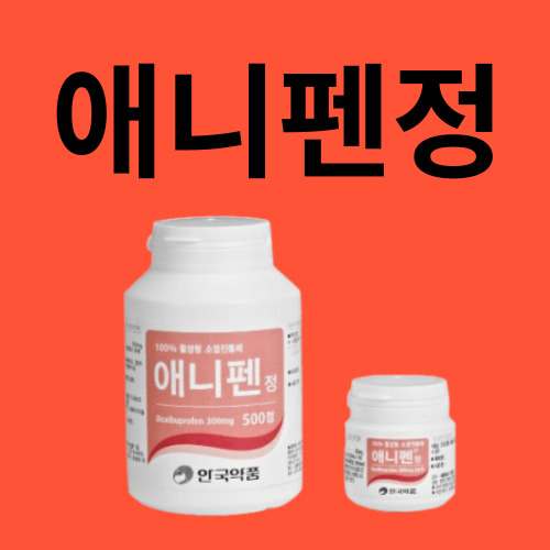 애니펜정