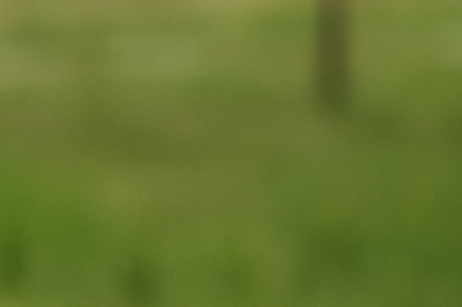 치매 전조증상과 초기증상