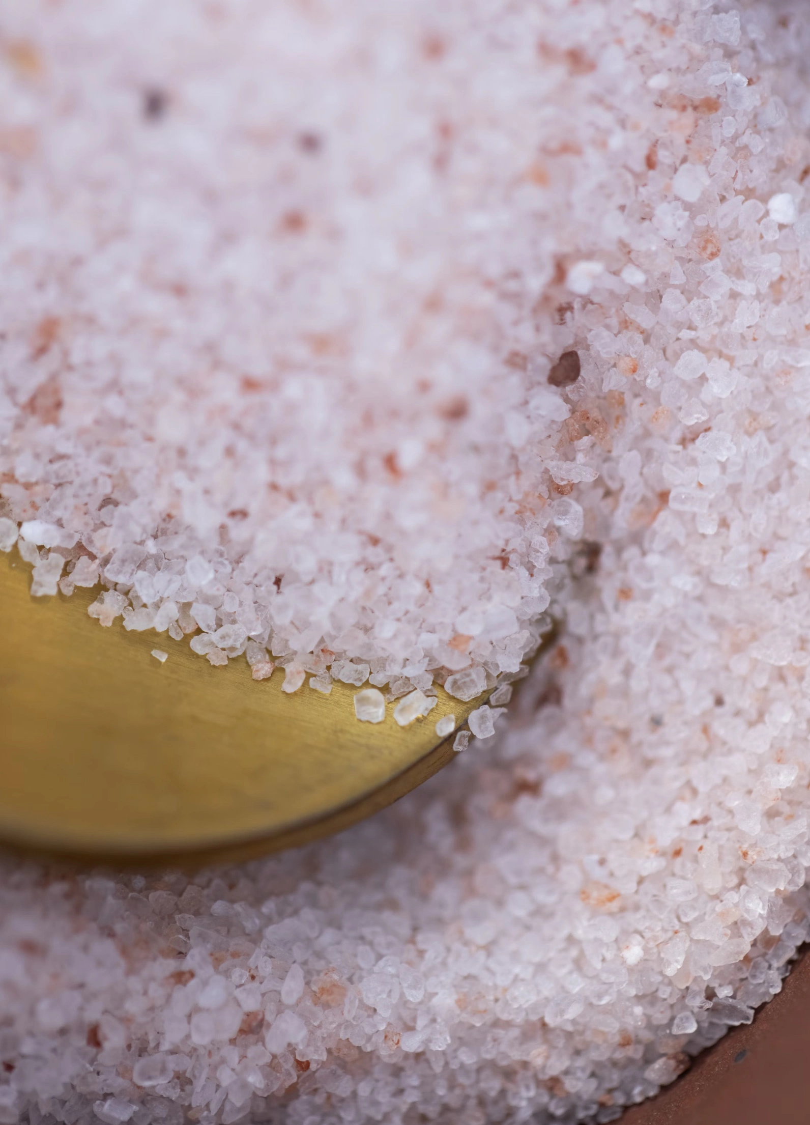 설탕 대신 스테비아