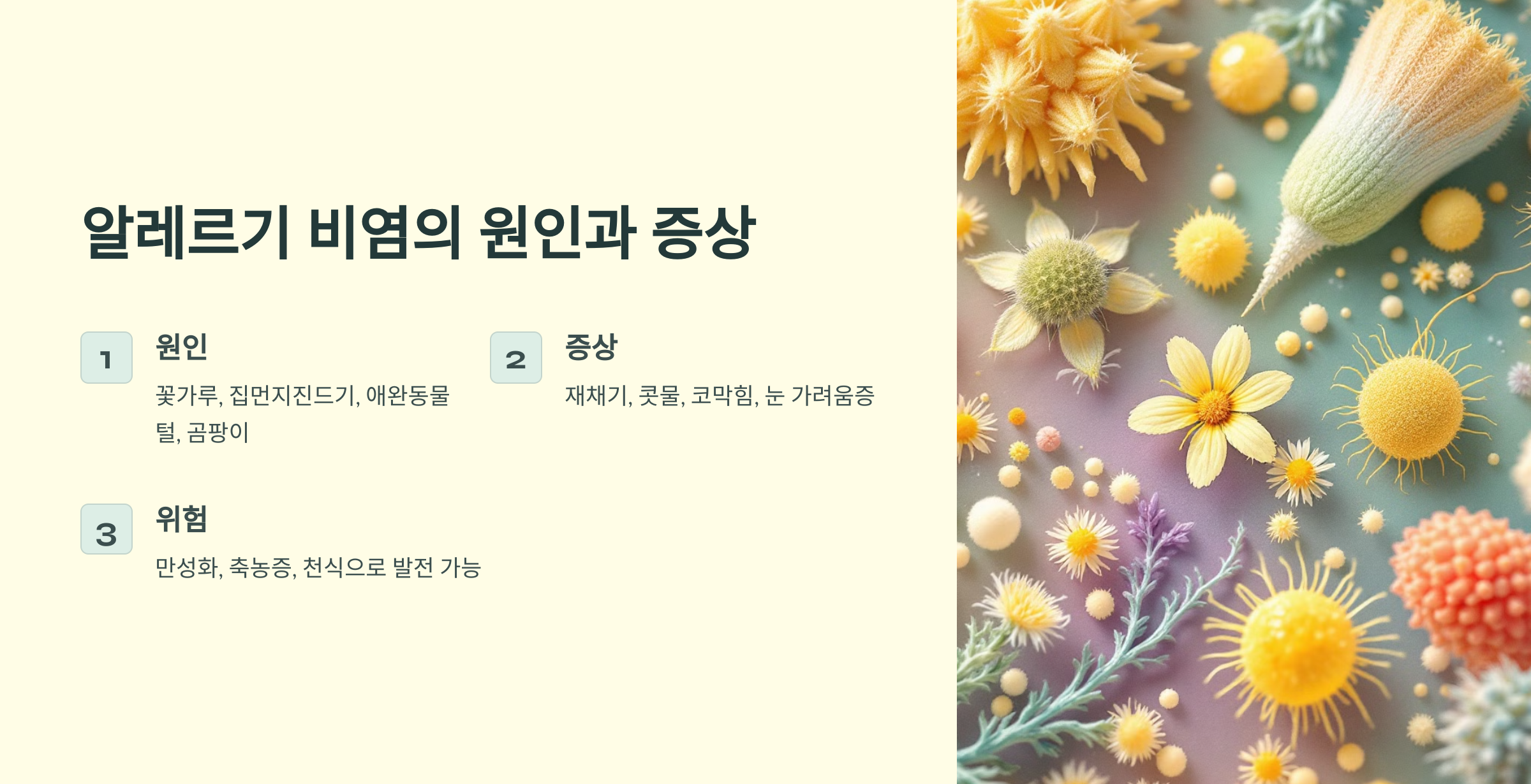 알레르기 비염의 원인과 증상