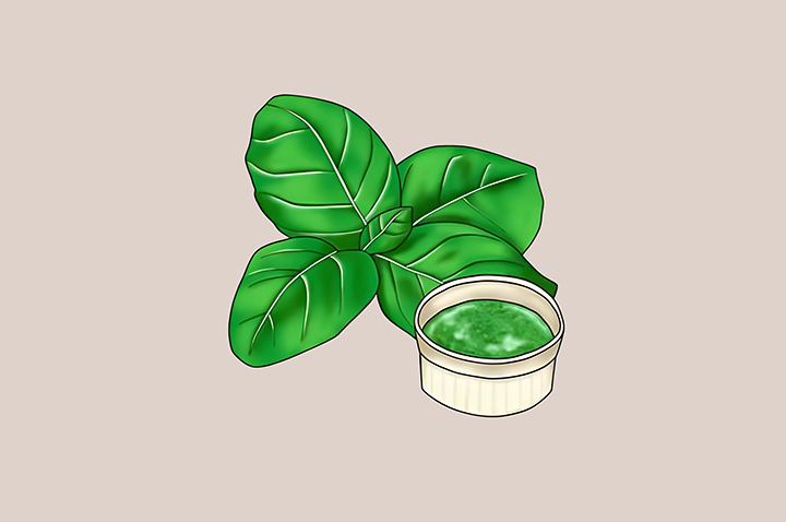 바질-하루-섭취-권장량