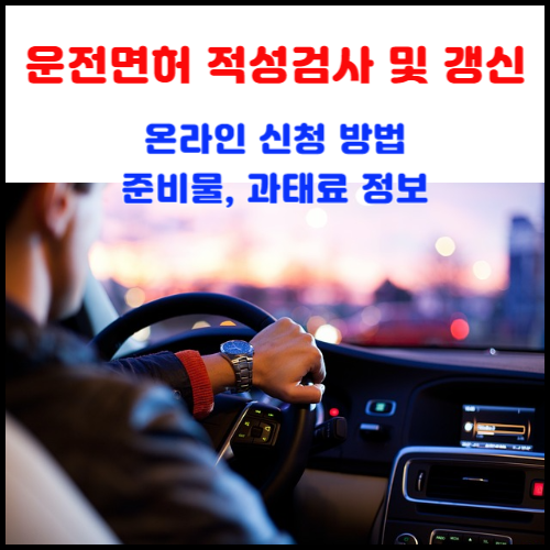 운전면허-적성검사-및-갱신