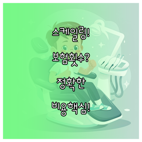 스케일링 저렴한 비용 보험 적용 횟수..