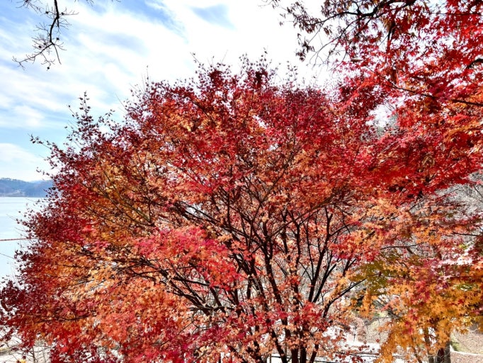 충남 단풍명소 TOP5 + 숨겨진 가을 여행지 3곳 관련 사진