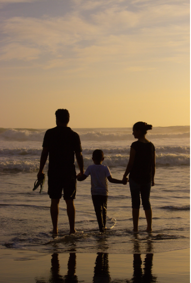 기생충 빈부격차 대체 사진