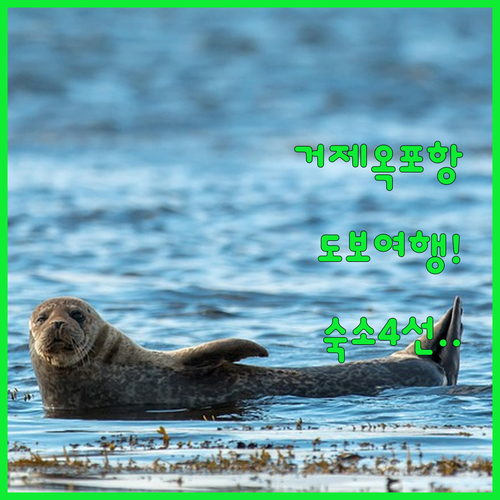 거제 아주동 옥포항 도보 여행 코스와..