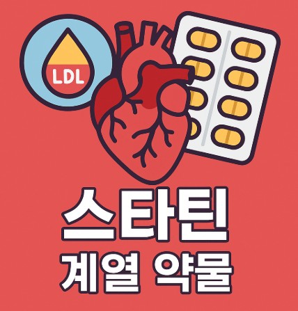스타틴(Statin) 계열 약물의 효과와 부작용, 복용 안내 사진