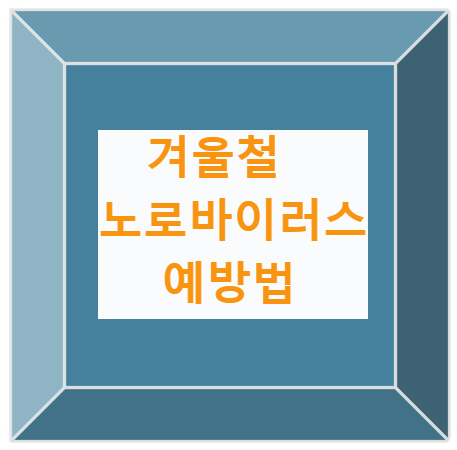 노로바이러스