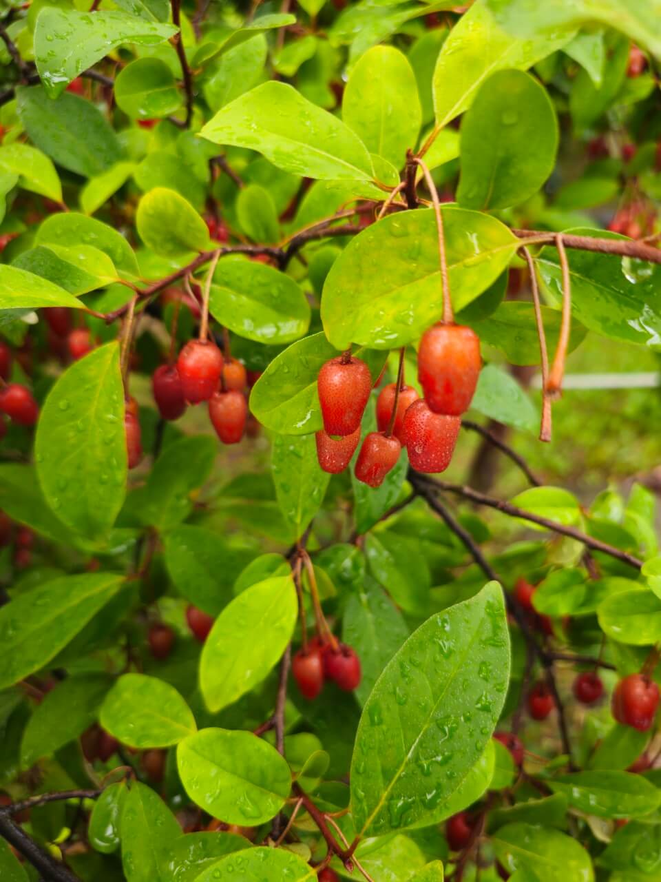 장애인 차별 해소 위한 법률 국제 비교