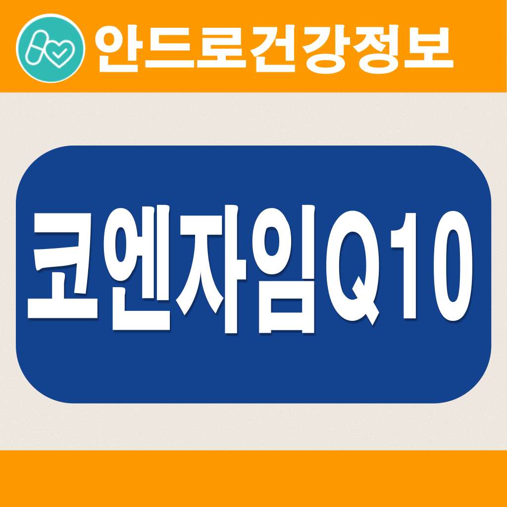 코큐텐 추천,복용시간,코엔자임 Q10 효능