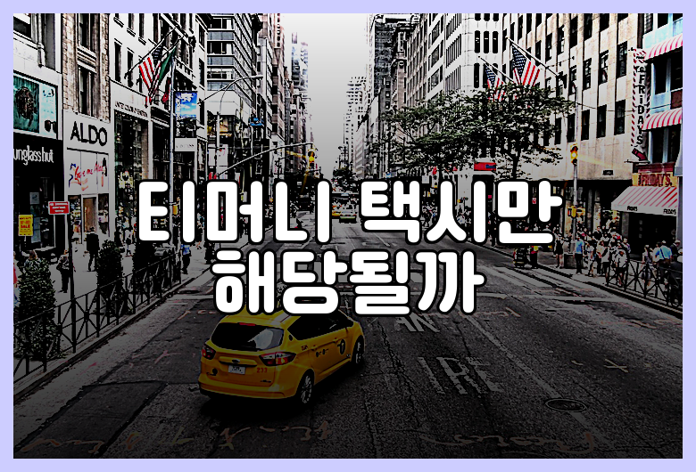 티머니 택시만 해당될까