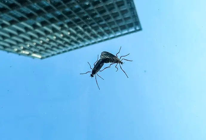 202506212810508