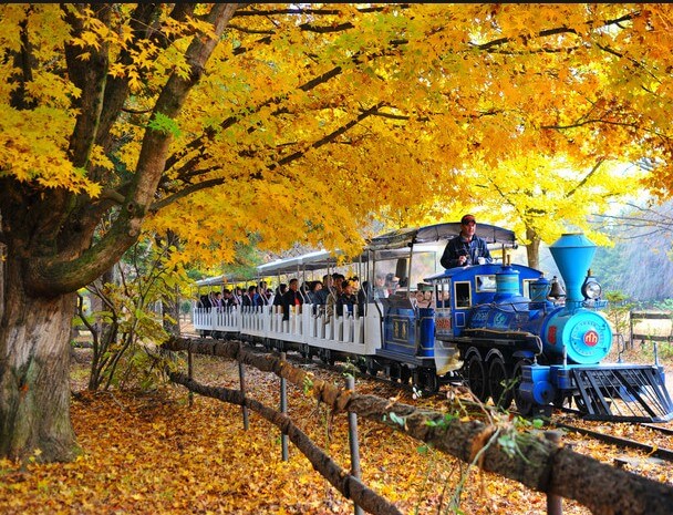 가을 단풍 명소 추천