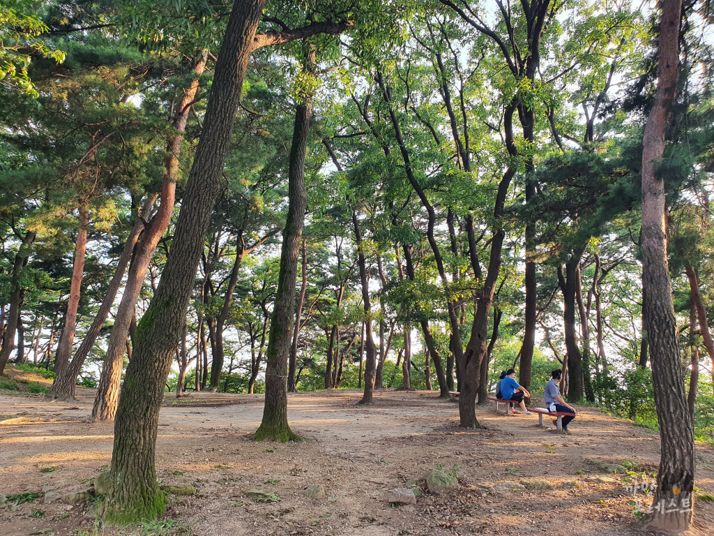 독산성 정상 View