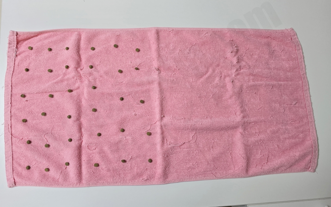 수건으로 강아지 장난감을 만들기 위해 간식을 수건 위에 뿌려둔 모습