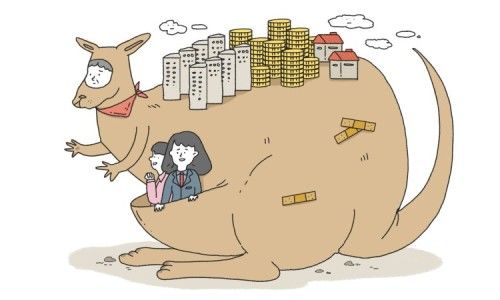 캥거루부부