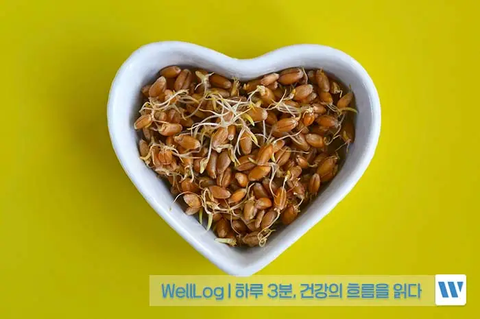 파로 효소 효능&amp;#44; 먹는 법