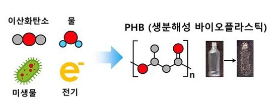 미생물 공학