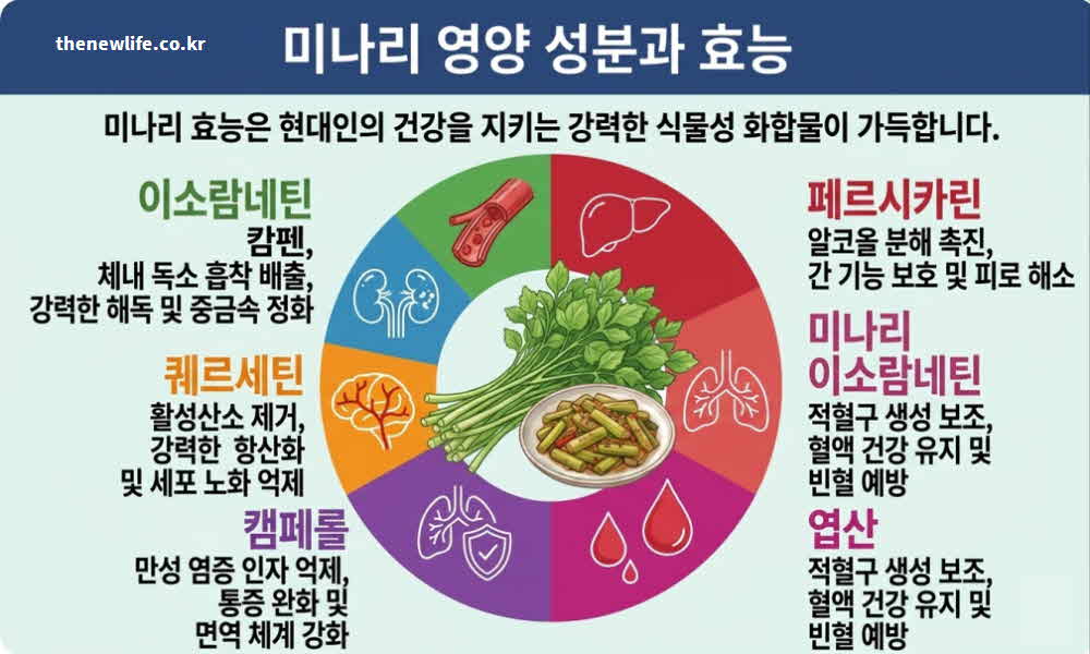 미나리 효능 영양성분