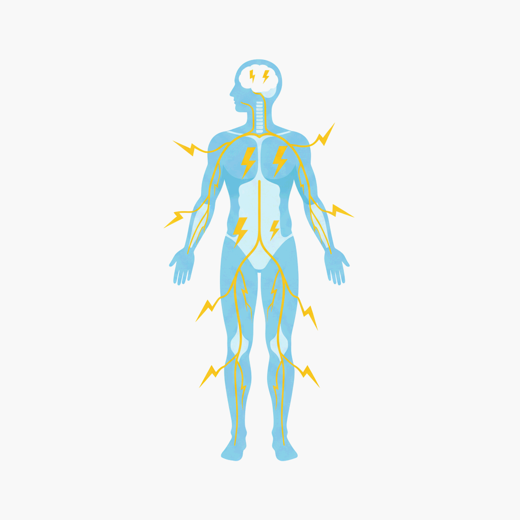 생체전류가 우리 몸을 움직이게 하는 방식을 상징적으로 표현한 인체 일러스트레이션