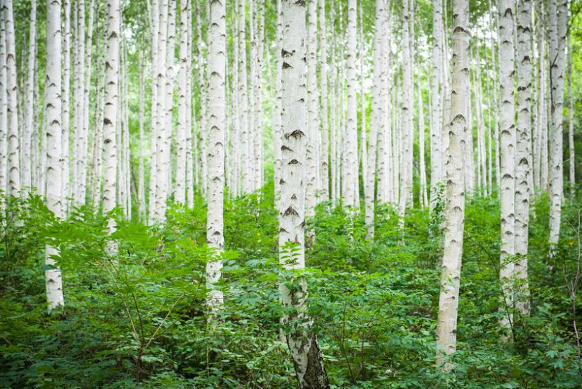 국내겨울여행지추천