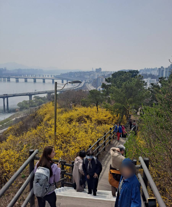 응봉산 내려가는 계단