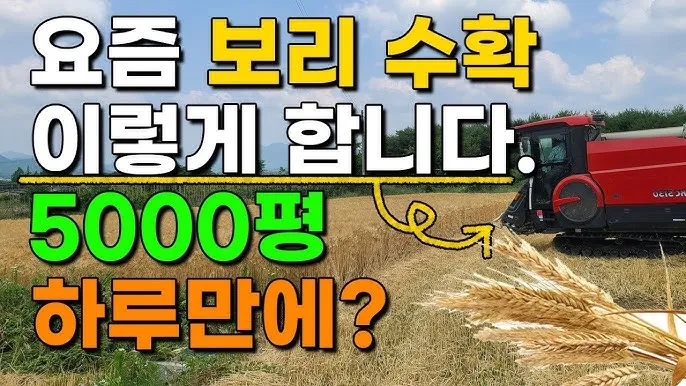 보리 재배 월동 관리 파종 밀도 웃자람 방지_4