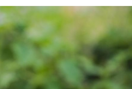 전자담배 기내반입