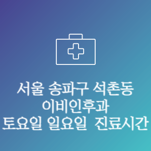 서울 송파구 석촌동 이비인후과 주말 토요일 일요일 문여는 병원 진료시간