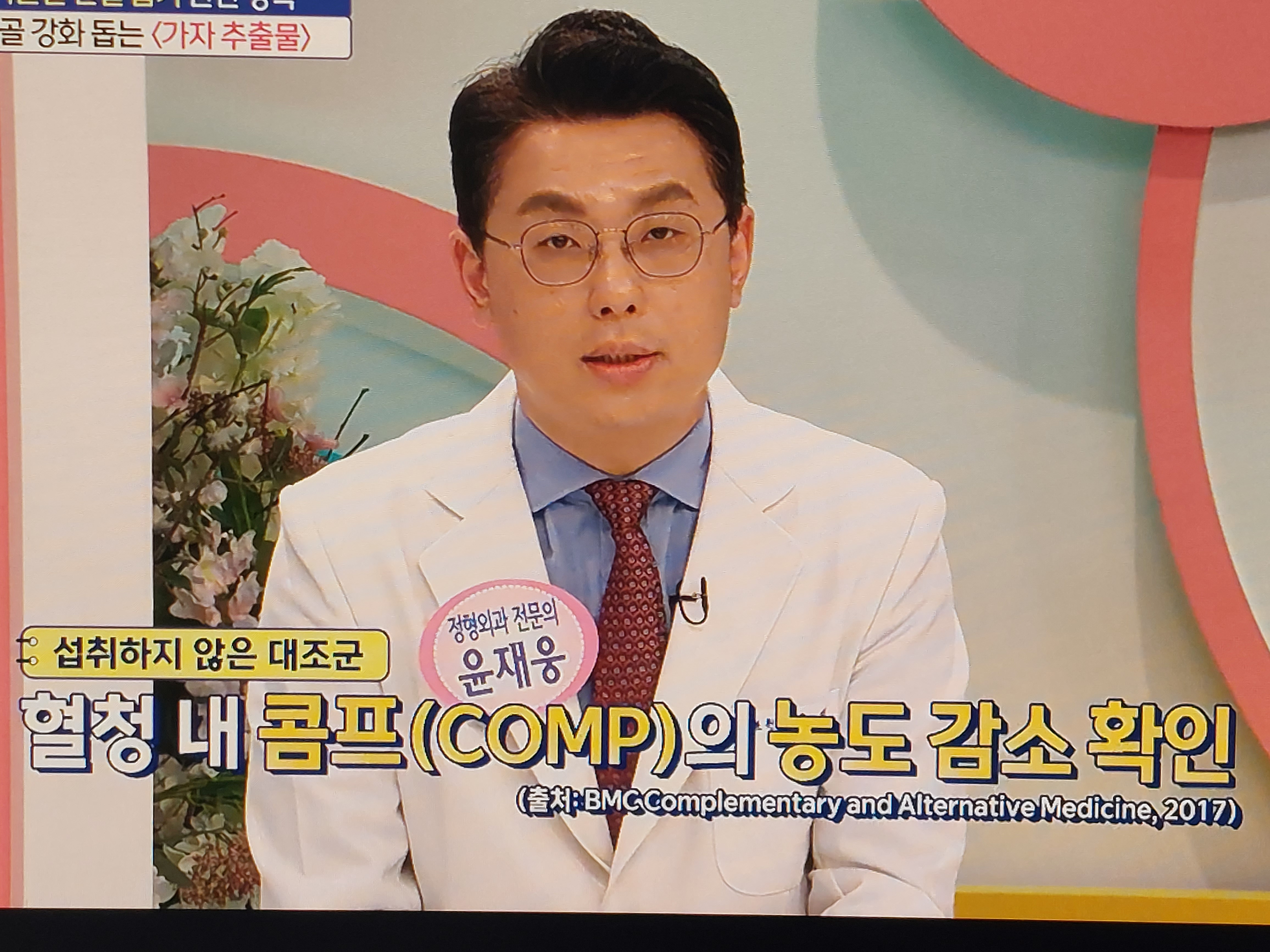 가자추출물 효능