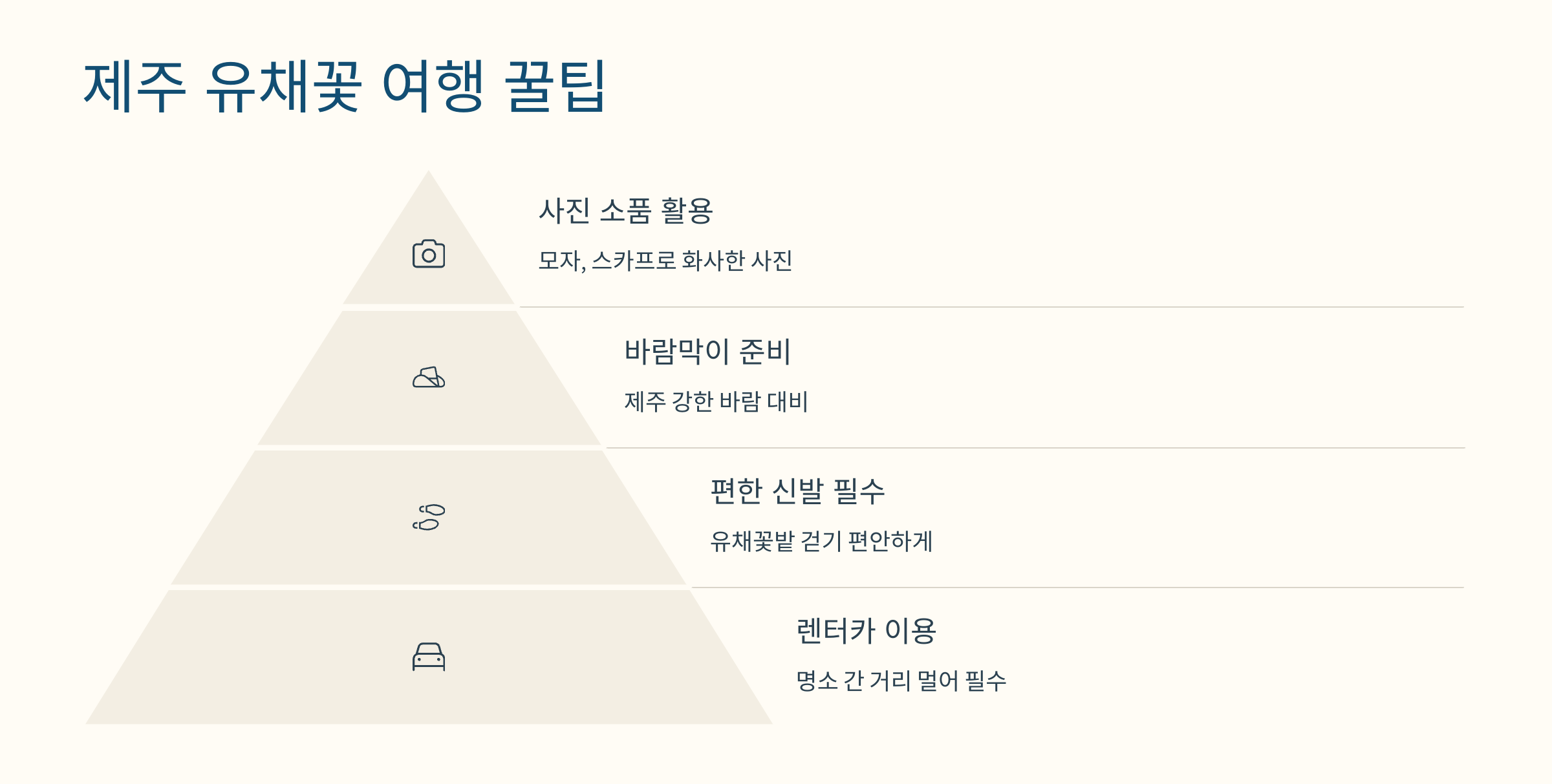 유채꽃 사진
