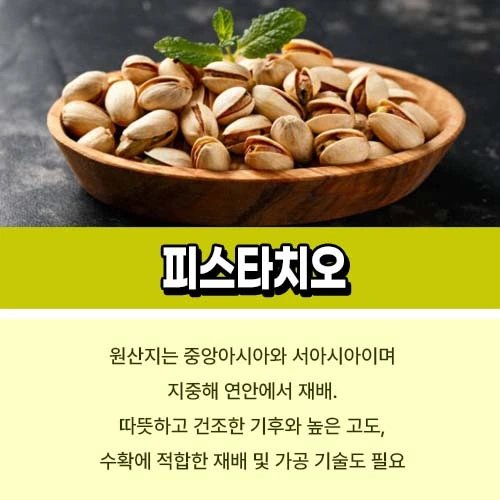 피스타치오