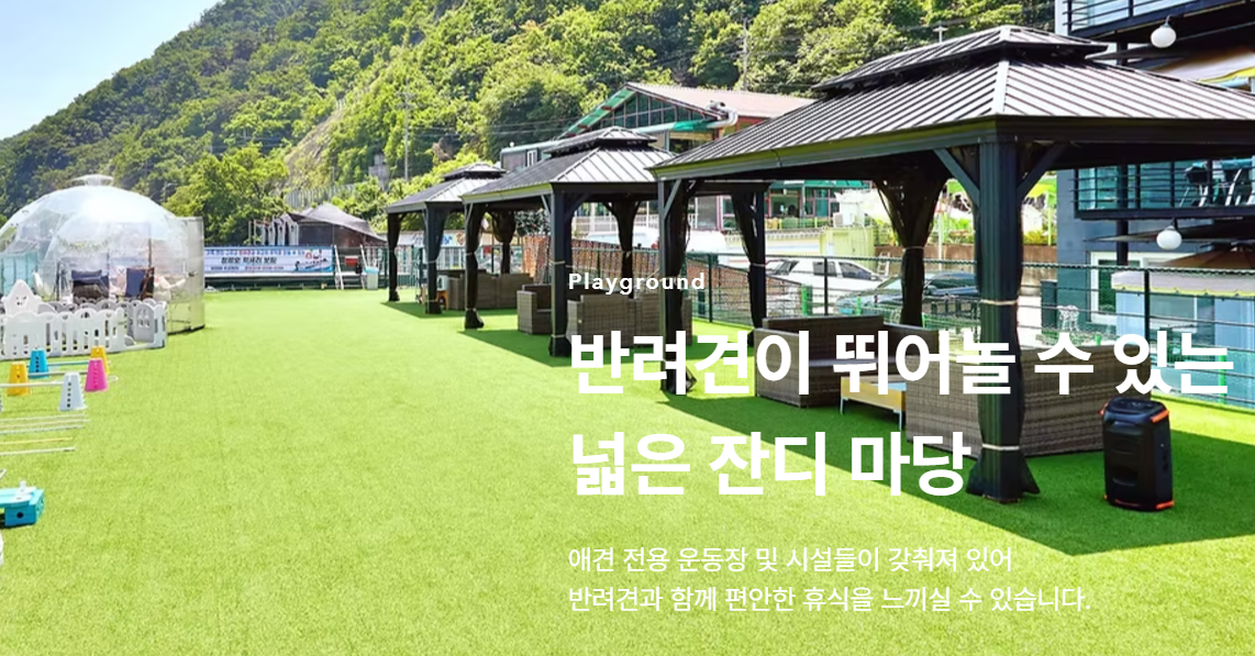 반려동물 동반 펜션 추천