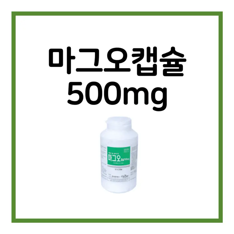 마그오캡슐500mg-이미지