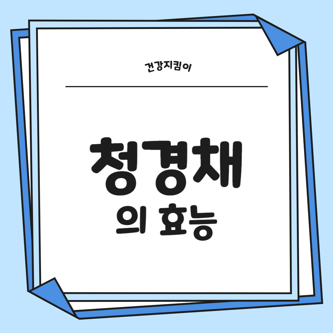 청경채 효능 부작용 고르는법 칼로리